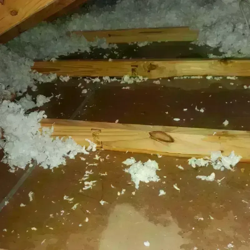 Attic Water Damage in Shiloh, PA